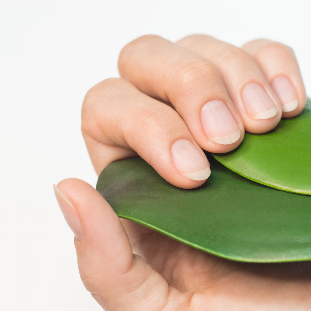 completed-manicure-prepared-nails-applying-varnish-soft-focus-close-up (1)